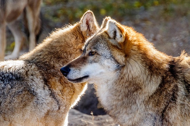 退休数字目标:算清退休金四大数,退休规划不靠感觉靠算法 配图