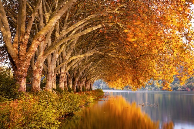 退休金四大数:58 岁,我把养老账算成了四道数学题 配图