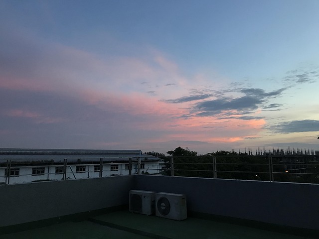 同样的食谱,不同的身材:体质差异里的营养密码 配图