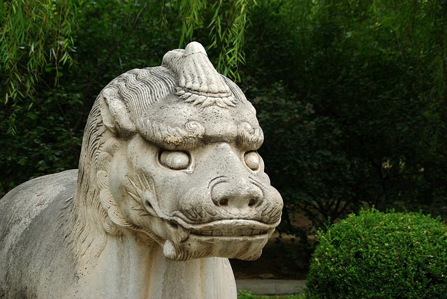 记了就忘不是你的错:我用36天把记单词效率翻了2.4倍,原来大脑是这样学习的 配图