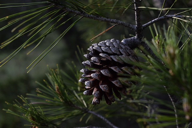 文本扩展系统：把 214 次重复敲打压缩成 2 个字母 配图