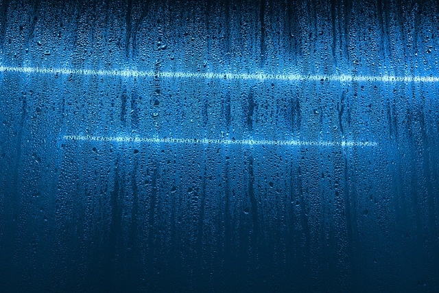 备餐的衰减曲线:第几天口感开始崩、营养开始掉,以及分装顺序的三条修正 配图