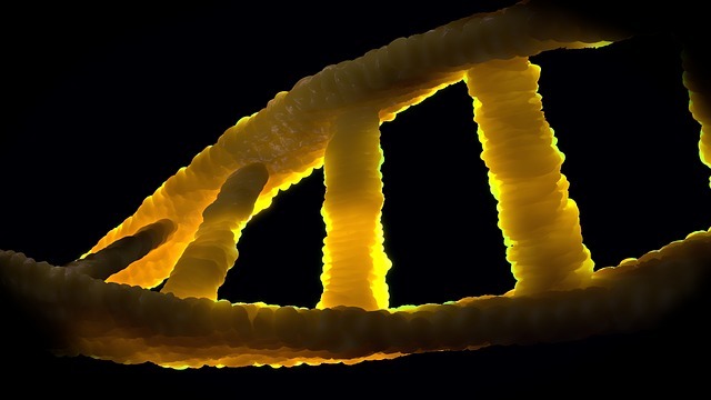 三网冗余与延迟预算:给随身网络算一笔可用性账,把断网从意外变成可计算的成本 配图
