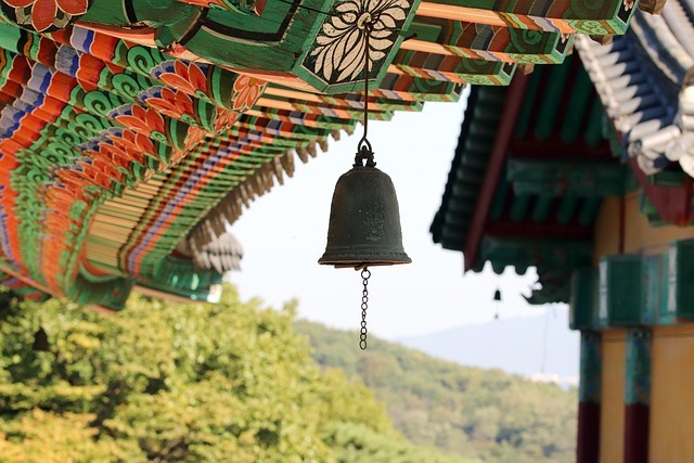 书评不是读后感:主张、证据、反驳、迁移四段结构,把一本书压成一张可检索的卡 配图