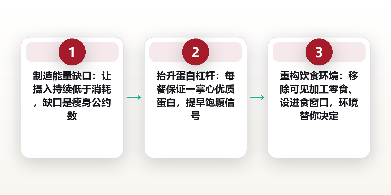 三种饮食法为什么都有效:把橄榄油、脂肪供能与进食窗口还原成同一个机制 框架图
