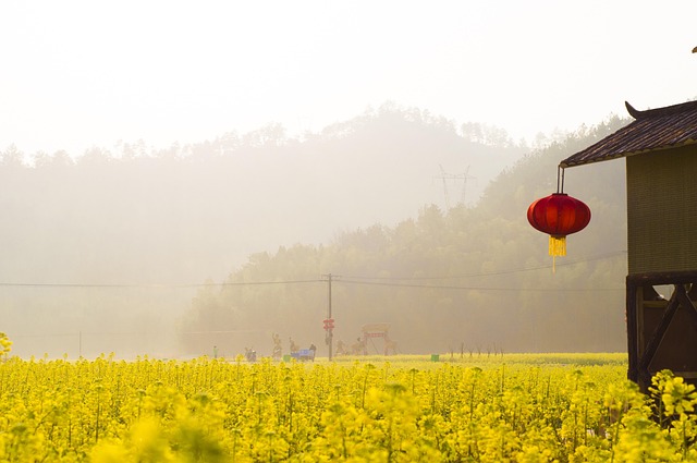 登顶不是唯一目标：用爬升量、往返时长与撤退点选一条合适的观景线 配图