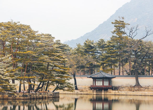 登顶不是唯一目标：用爬升量、往返时长与撤退点选一条合适的观景线 配图