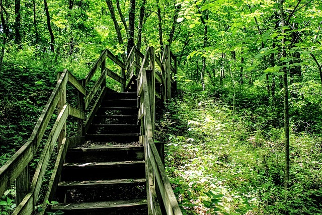 复盘不是追责:把决策失误拆成信息、判断与执行三段归因 配图