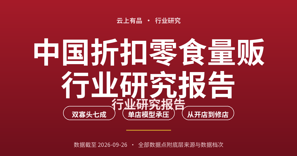 中国折扣零食量贩行业研究报告 封面