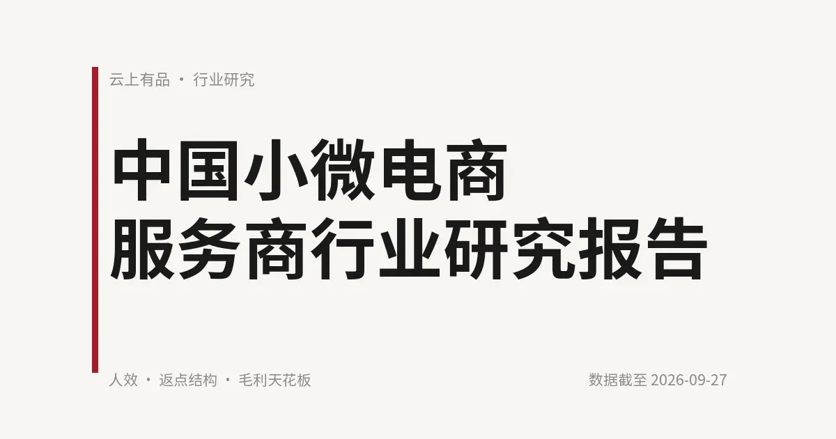 中国小微电商服务商行业研究报告 封面