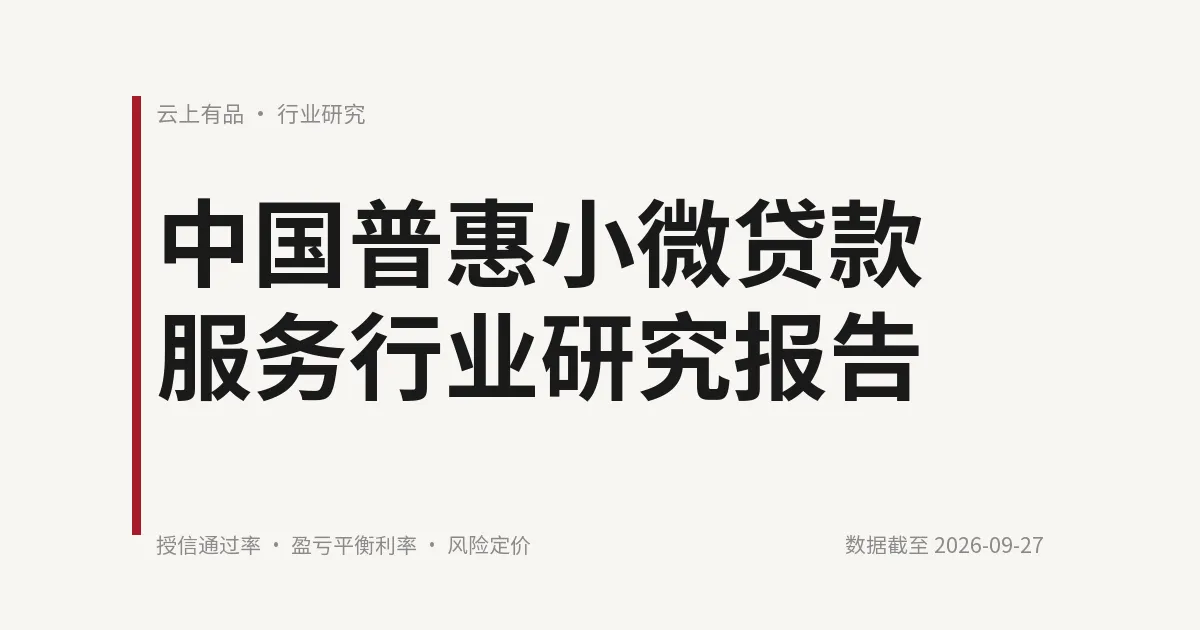 中国普惠小微贷款服务行业研究报告 封面