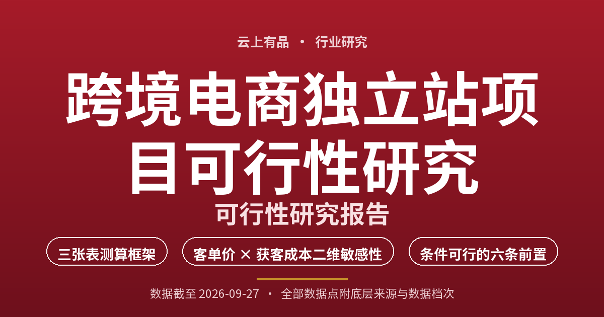 跨境电商独立站项目可行性研究 封面