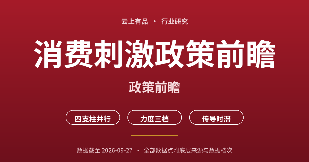消费刺激政策前瞻 封面