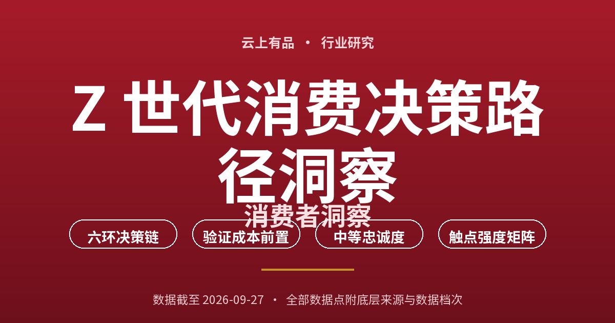 Z 世代消费决策路径洞察 封面