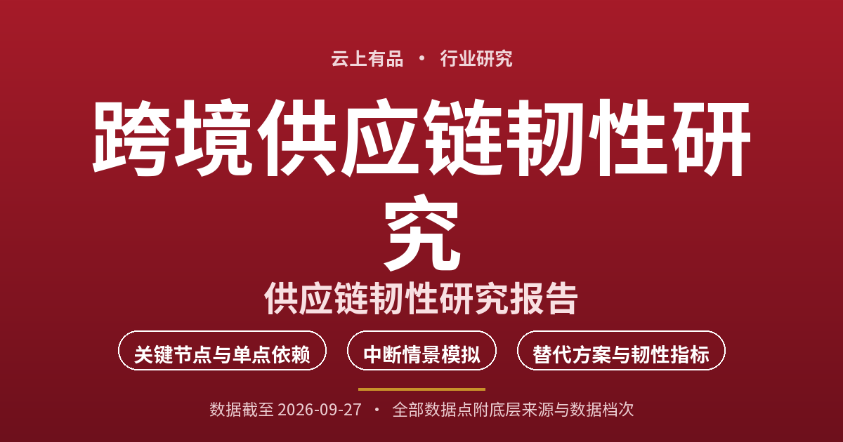 跨境供应链韧性研究 封面