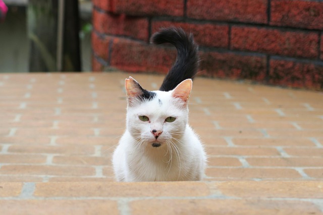 每月关机24小时：我用一天「离线日」，把被切碎的时间重新拼了回来 配图