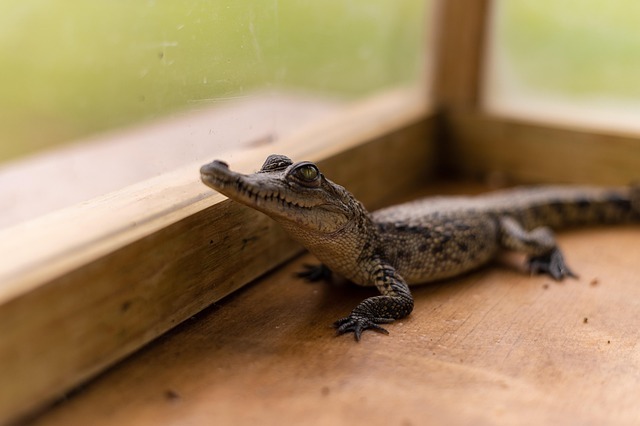 阅读的节奏:为什么列了 52 本书的人,最后往往只读完 3 本 配图