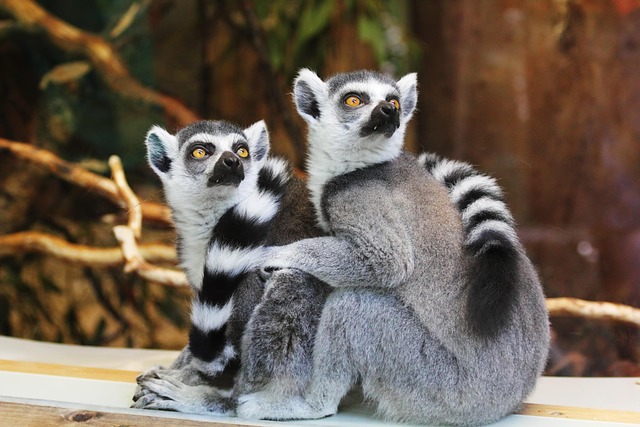 数据访问审批的申请流程设计：我用 DALP 四环框架把权限申请压到几小时 配图