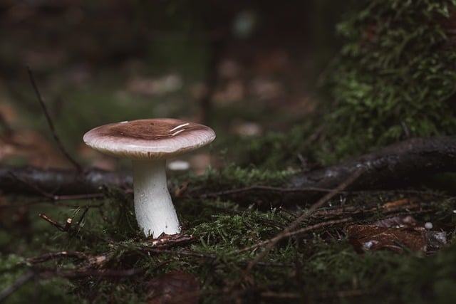 群规即降噪：为高频群聊设计一套默认安静、例外可见的注意力协议 配图