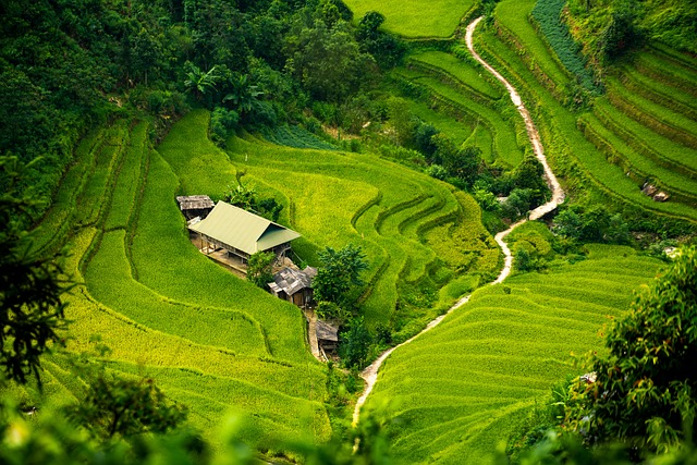 把复杂选择拆成四层：用 STEP 模型搭一套能复用的决策框架 配图