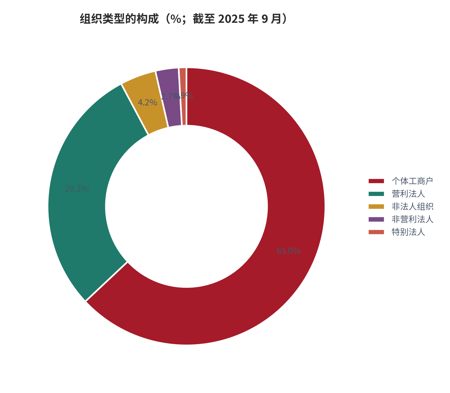 图 5：组织类型的构成（%；截至 2025 年 9 月）。个体工商户占 63.0%、营利法人占 29.2%、非法人组织占 4.2%、非营利法人占 2.7%、特别法人占 0.9%。资料来源：新华网（引述市场监管总局数据）[4]，结构归一为测算 [8]。
