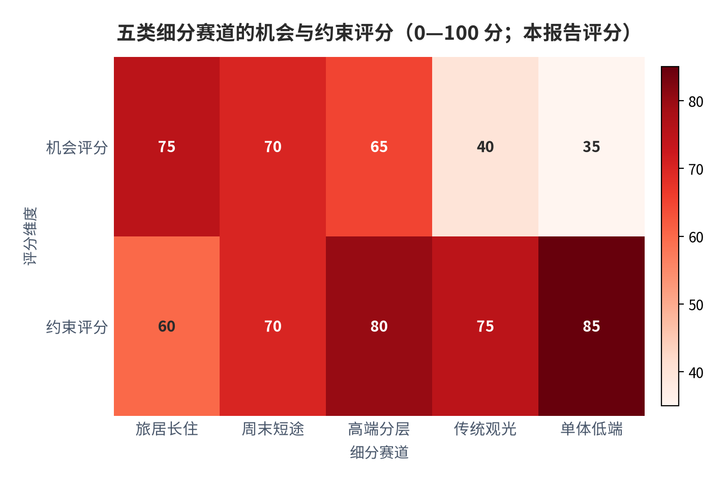 图 10：五类细分赛道的机会与约束评分（0—100 分；本报告评分）。资料来源：本报告整理，判断依据为产品结构与旅居数据 [6][7][8]