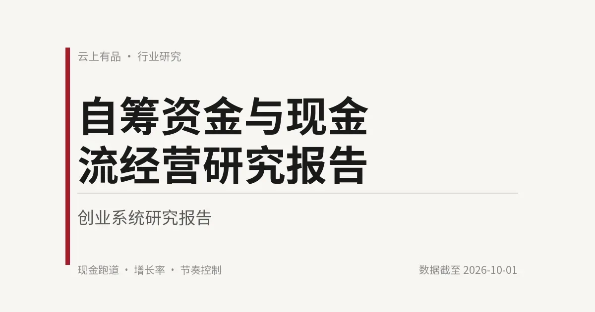 自筹资金与现金流经营研究报告 封面