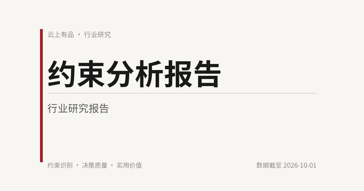 约束分析报告 封面