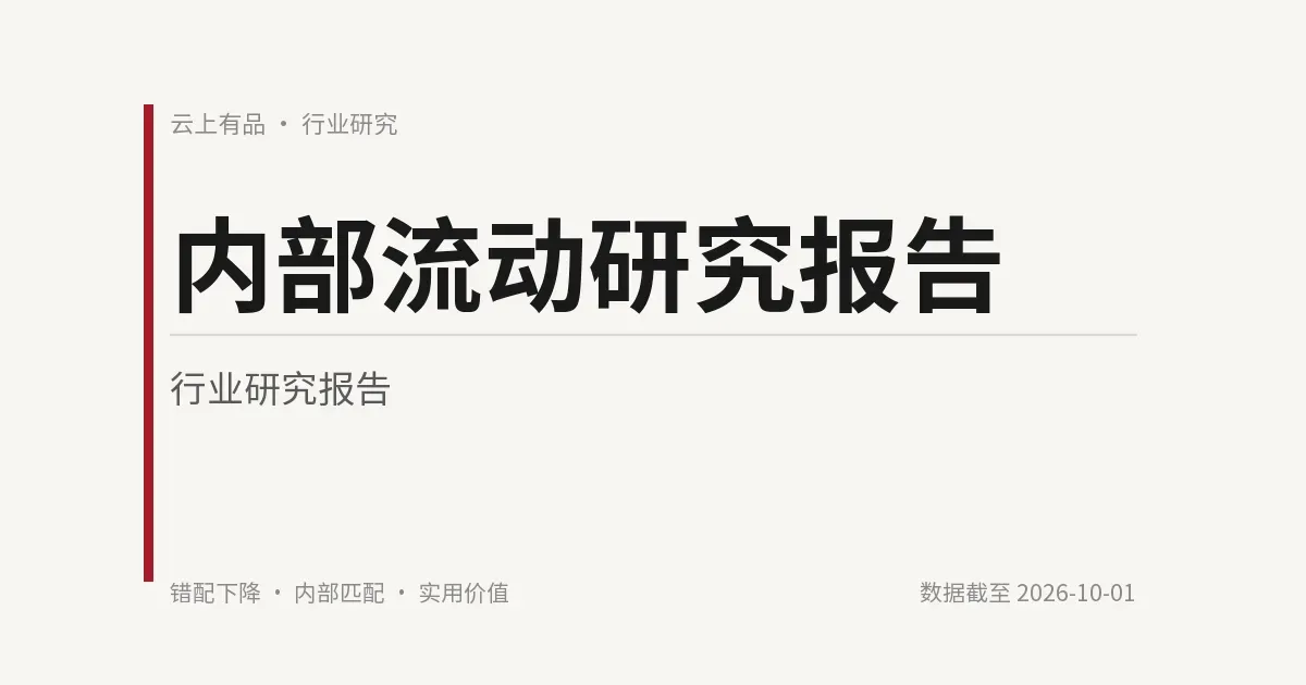 内部流动研究报告 封面