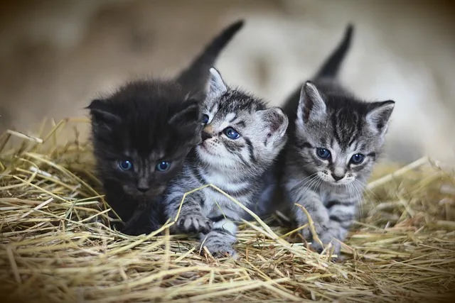 需求改了要留痕：用变更单把返工成本算清楚 配图