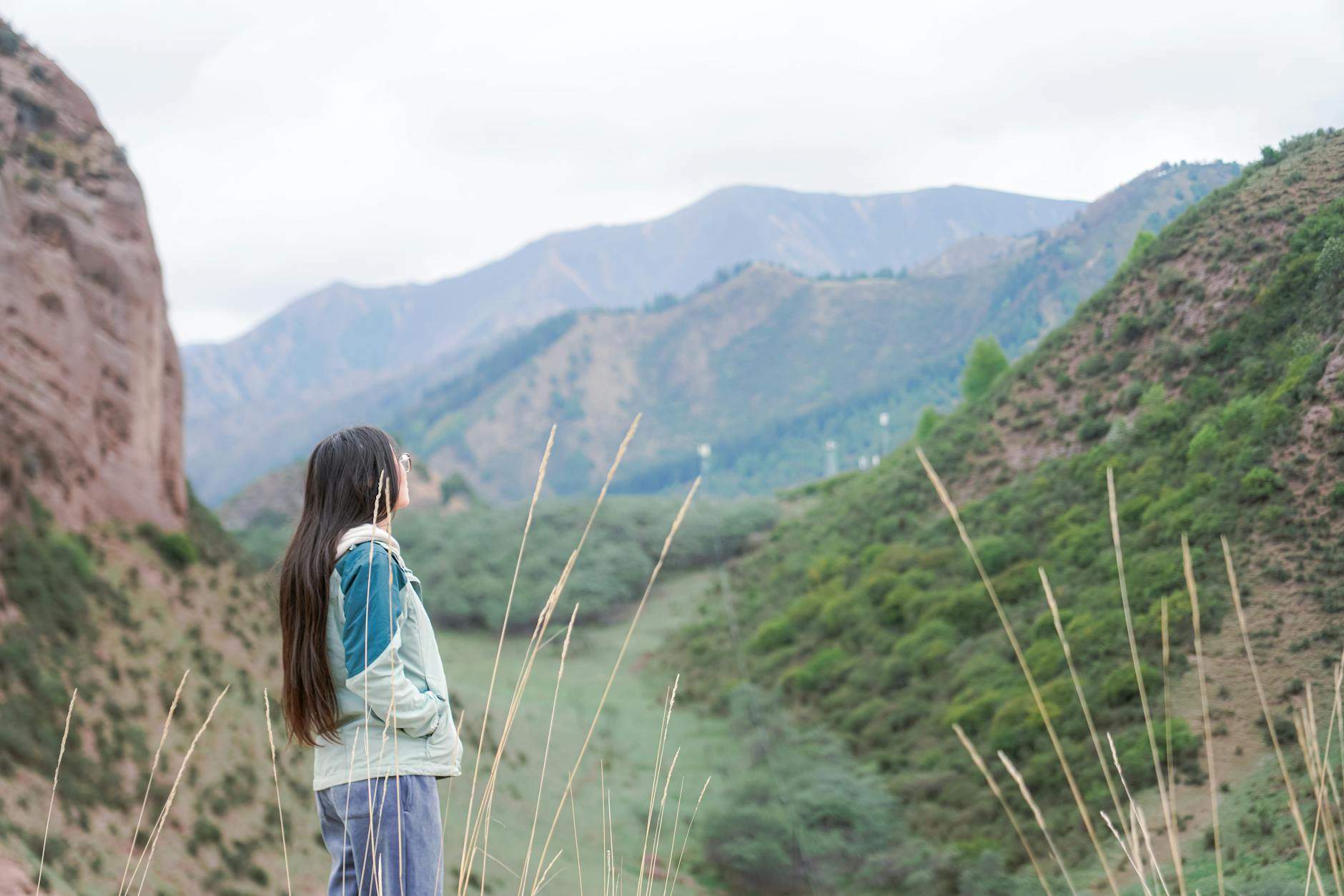 Illustration of LifeOS的运行机制揭秘：掌握这个高效系统的核心原理