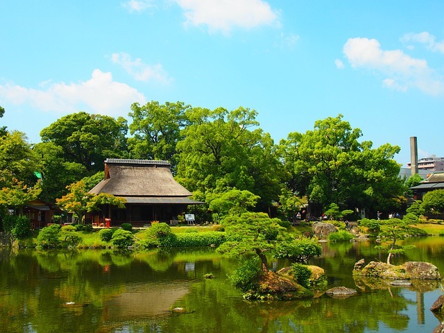 居家健康系统:从空气、水、光到睡眠的八条基础设施 配图
