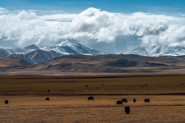 把家变成系统:3条动线设计,让90平米住出从容感 配图