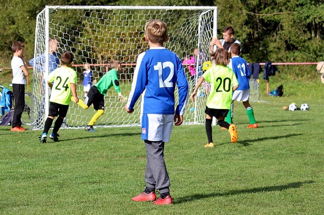 饮食系统设计:用营养密度原则重建日常餐桌 配图