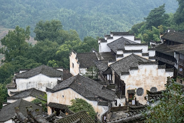 我靠一套学习系统,把记不住的焦虑熬成了底气 配图