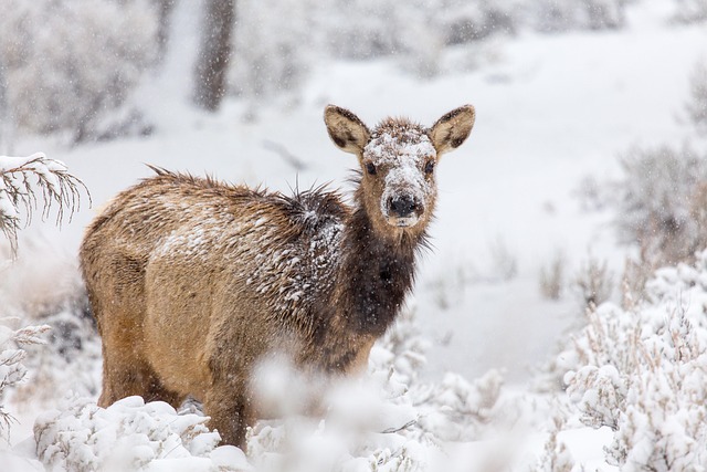 数字资产通识：从私钥到冷钱包，理解自我托管的基本原理 配图