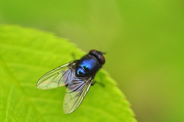 晨间系统的力量:45分钟,换回每天2小时属于自己的时间 配图