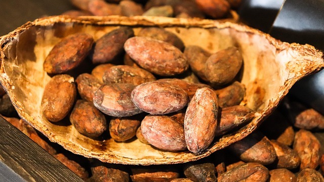 居家健康系统:从空气、水、光到睡眠的八条基础设施 配图