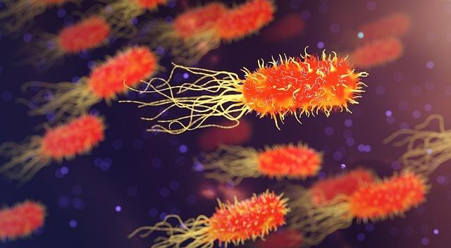 AI时代的认知升级:把智能体当成外接大脑,我重建了思考的顺序 配图