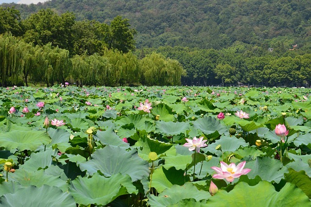 财富不是工资:用三条管道,让钱在你睡觉时流动 配图