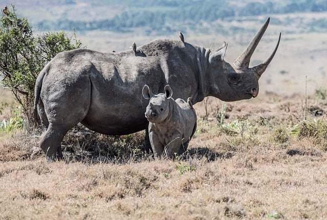 创业系统:从一个人到一支队伍的路径 配图