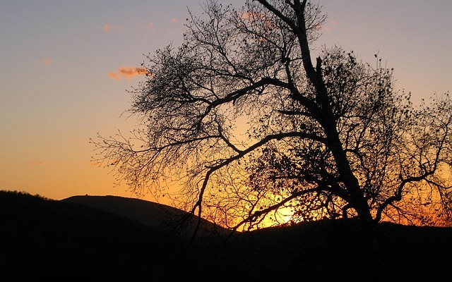 建立你的阅读体系:一年读100本还能记住 配图