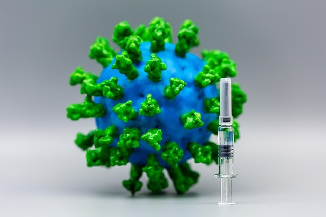 疫苗与药箱:34岁自由插画师,把12国行前健康准备做成三张清单 配图