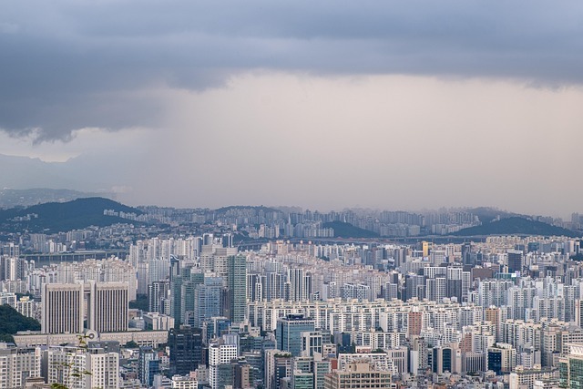 决策系统:用概率思维替代直觉下注 配图