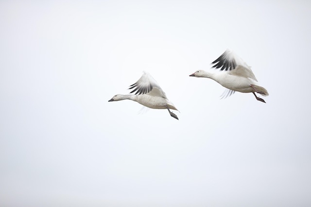信息管理系统的降噪原则 配图