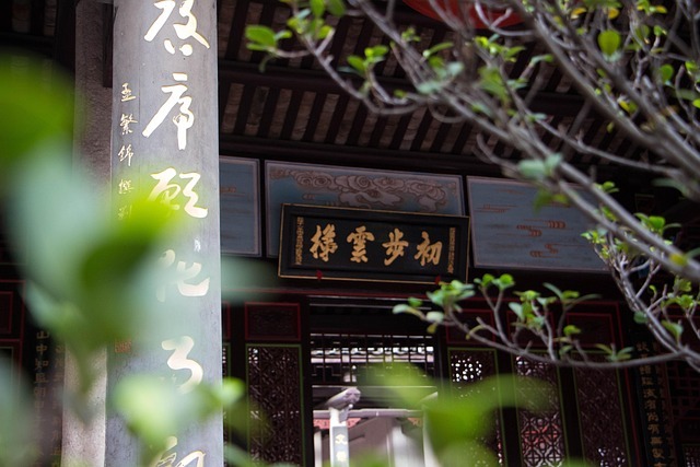 一周21餐:用一张表,把乱吃变成吃对 配图