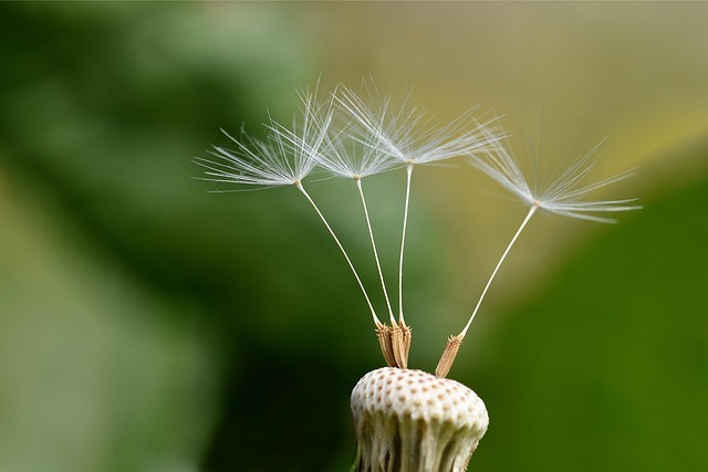 在城市里种一座小森林:阳台改造的12个细节 配图