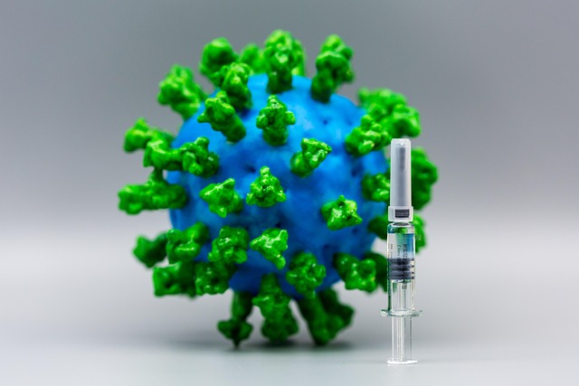 疫苗与药箱:34岁自由插画师,把12国行前健康准备做成三张清单 配图