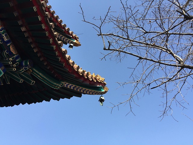 决策系统:用框架替代凭感觉做选择 配图
