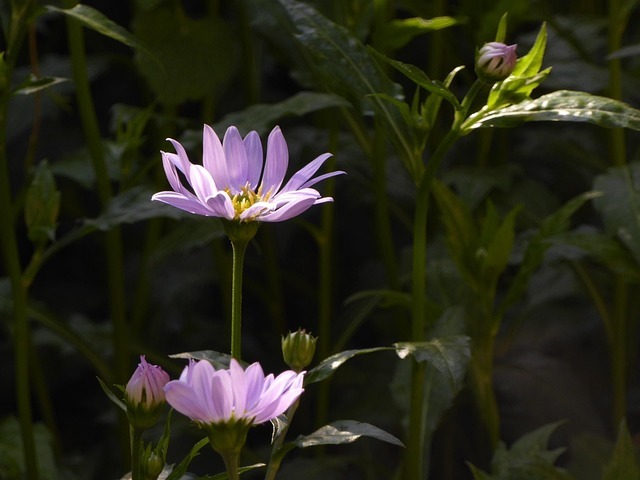 创作系统:用固定节奏和素材库对抗灵感依赖 配图